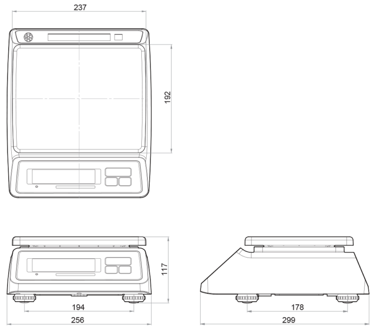 Cantar de verificare cu numarare CAS SWII