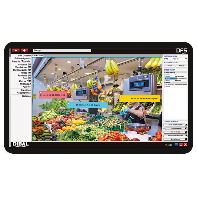 licenta-software-basic-dfs-dld_dibal-1 Licenta software Basic DFS + DLD